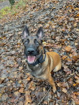 Tessy review photo