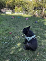 Max’s Mom review photo