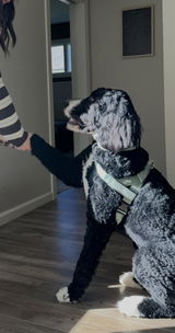 Riley Delp review photo