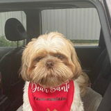 Snaidu review photo
