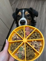 Cassandra et Aspen review photo