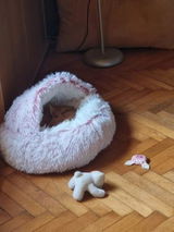 Mya R. review photo