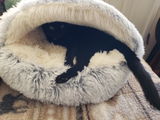 Linda P. review photo