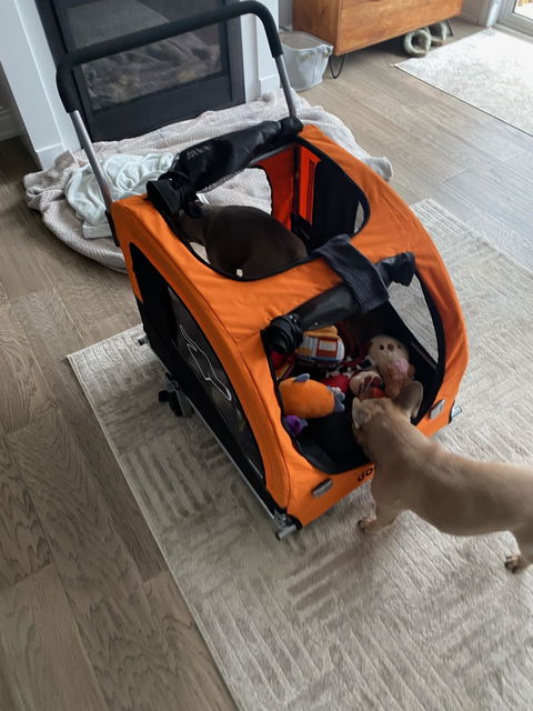 Doggo Bike® Trailer