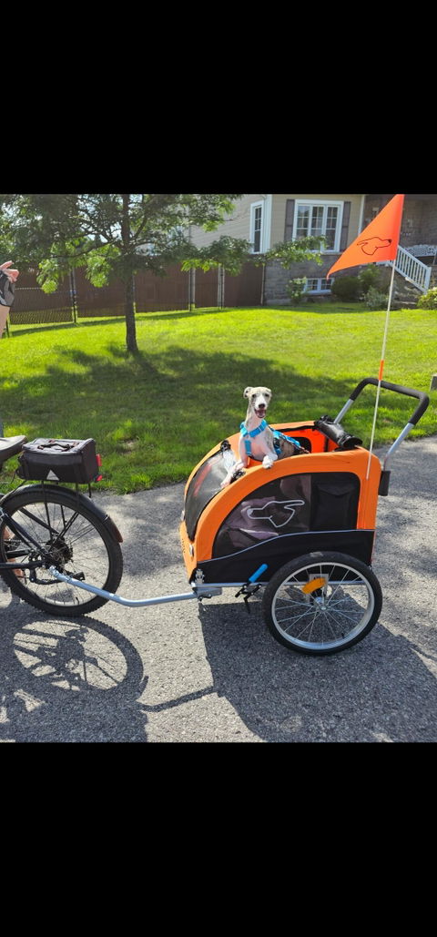 Doggo Bike® Trailer