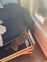 Anonymous review photo