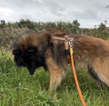 BioThane® Leash with 2 colors - 1.5m to 10 meter - Carabiner | DoggoZ