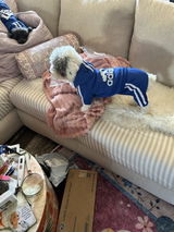 Anonymous review photo