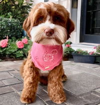 BANDANA | ROSIE