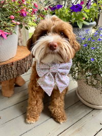 BOW TIE & SAILOR BOW | SPRING