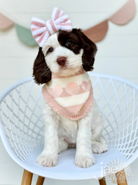 BANDANA | SEASIDE BLUSH