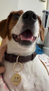 真鍮キーホルダー | QRコード付き犬用迷子札 | アプリ連携