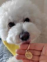 真鍮キーホルダー | QRコード付き犬用迷子札 | アプリ連携
