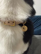 真鍮キーホルダー | QRコード付き犬用迷子札 | アプリ連携