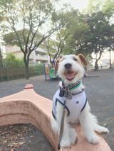 匿名 review photo