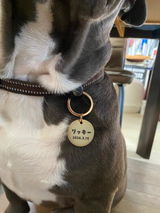 真鍮キーホルダー | QRコード付き犬用迷子札 | アプリ連携