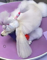 Olga Cherpak review photo