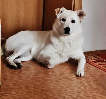 Foto z recenze od Jana Klimčíková