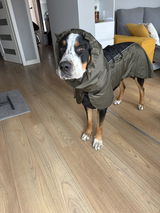 DOGONI