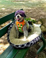 Kazoo’s mom review photo