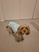 Amy W review photo
