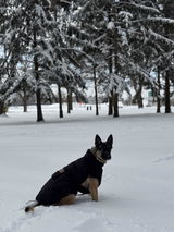 Blue & Skye review photo