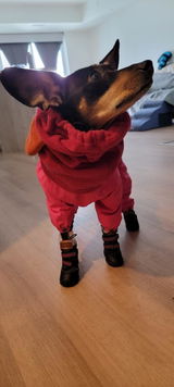 Astrid review photo