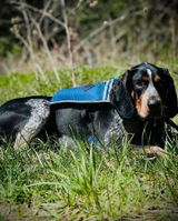 Guinavere review photo