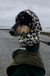 Dog lovers review photo