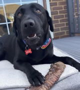 Customer review photo