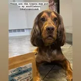 Customer review photo