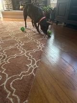 NCpupmom review photo
