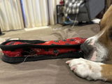 Randi P. review photo