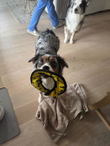 Edgar review photo