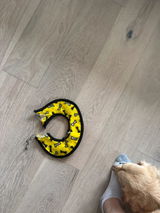 Edgar review photo