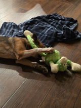 Maddy &.M. review photo