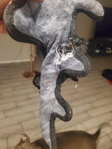 Kaleena G. review photo