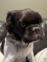 Claudia review photo