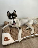 Valerie review photo