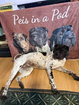 Peis in a Pod review photo