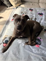 Dina review photo