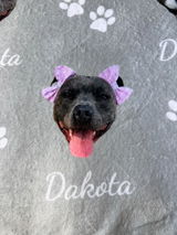 Dina review photo