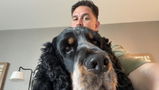 Brad N. review photo
