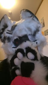 N. review photo