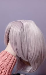 R.V. review photo