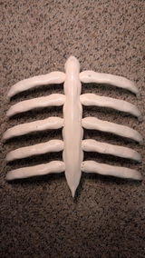 H. review photo