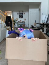kitty.cos review photo