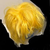 kagamine len review photo