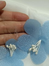 Alejandra B. review photo