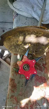 Piotr review photo